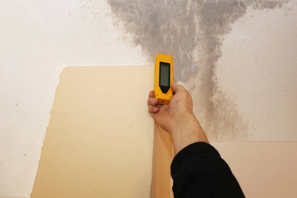 Best Residential Mold Inspection & Testing  in Saks, AL