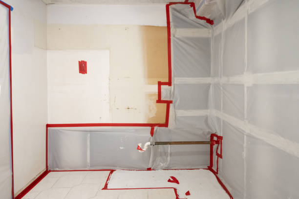 Best Environmental Consulting for Mold Prevention  in Saks, AL