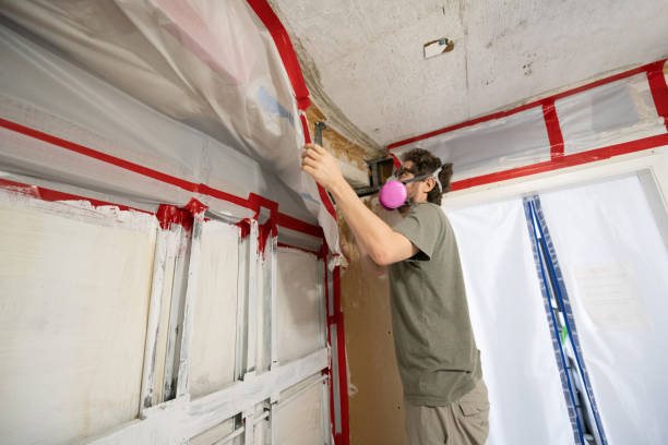 Best Post-Remediation Verification Testing  in Saks, AL