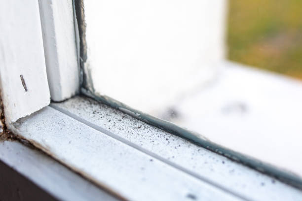 Best Mold Remediation for Healthcare Facilities  in Saks, AL
