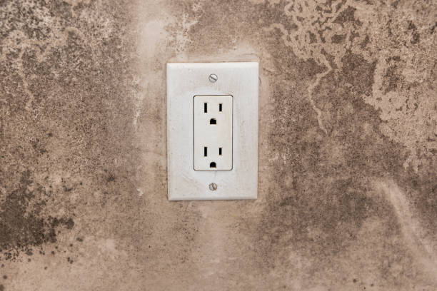 Best HVAC Mold Inspection and Cleaning  in Saks, AL