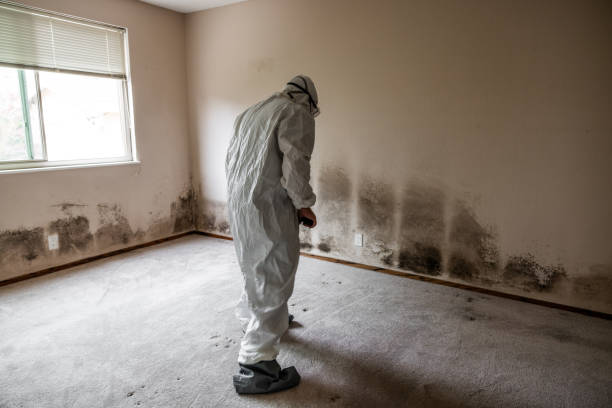 Best Biohazard Mold Removal  in Saks, AL
