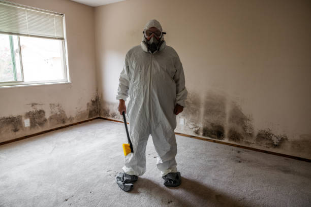 Best Industrial Mold Remediation  in Saks, AL