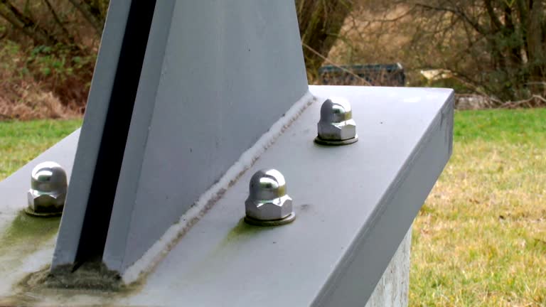 Best Airborne Mold Testing  in Saks, AL