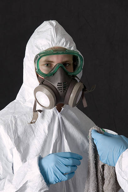 Trusted Saks, AL Mold Removal Experts